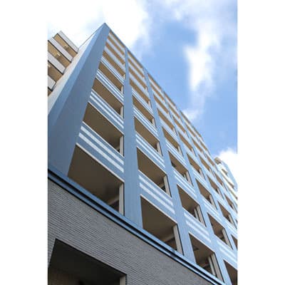 Main Image