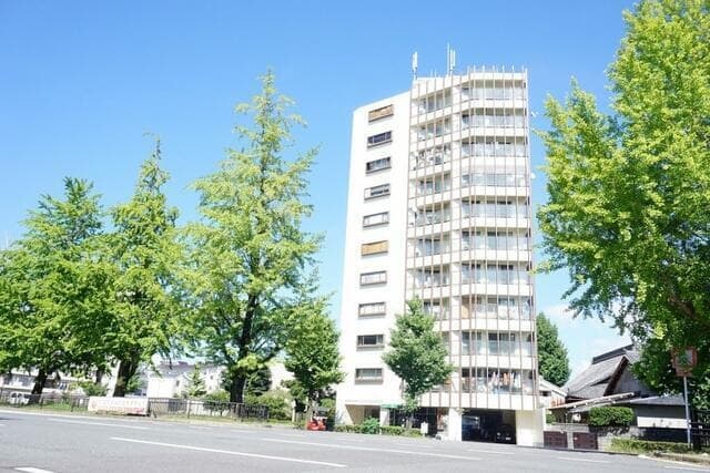Main Image