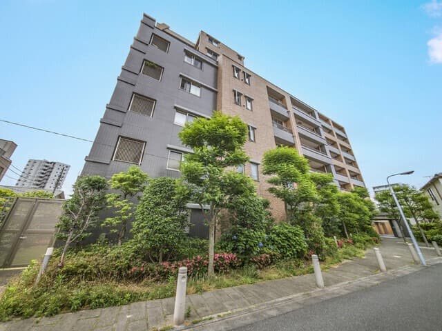 Main Image