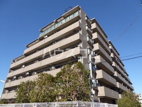 Main Image