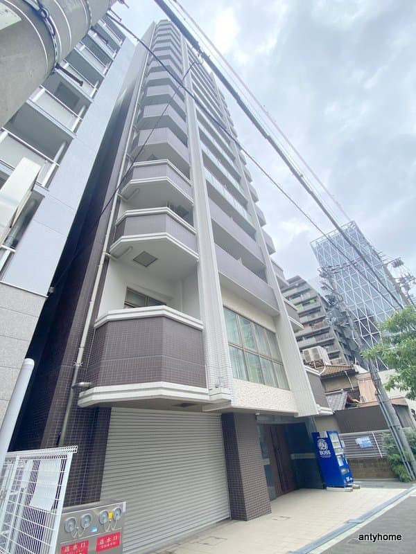 Main Image