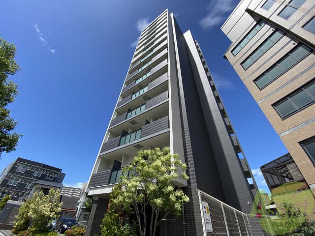 Main Image