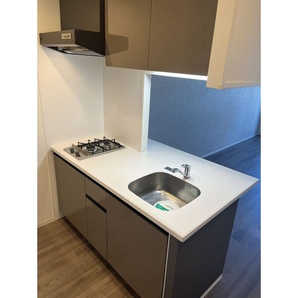 Preview interior of Regiole Ash Tskamoto Residence