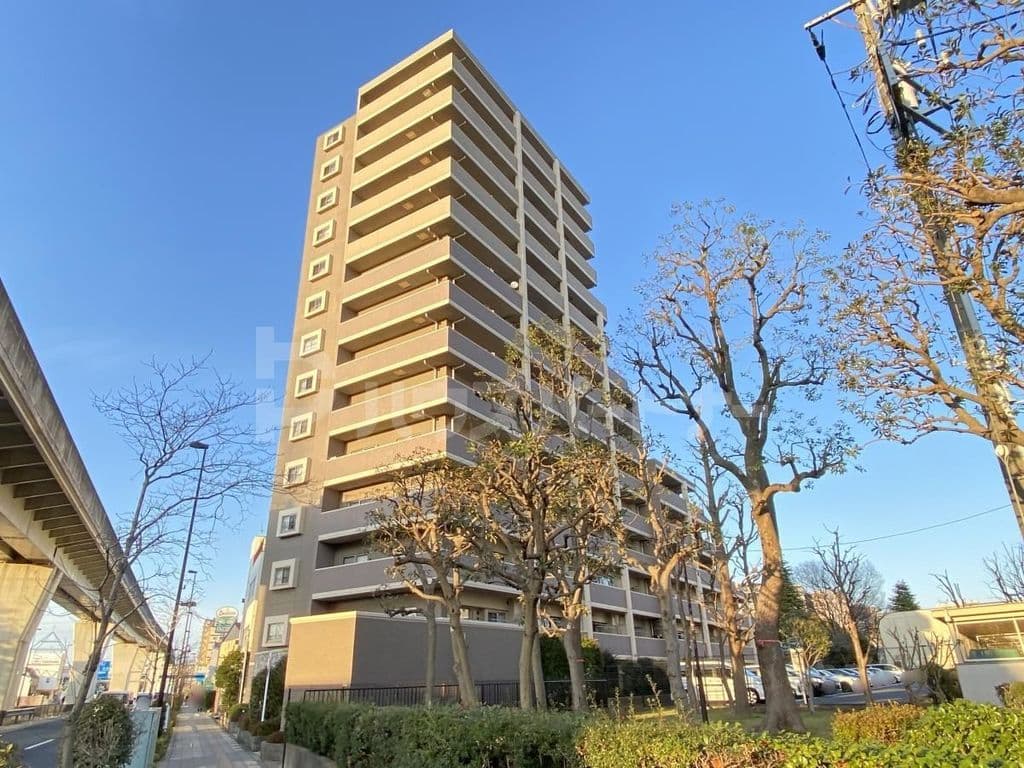 Main Image