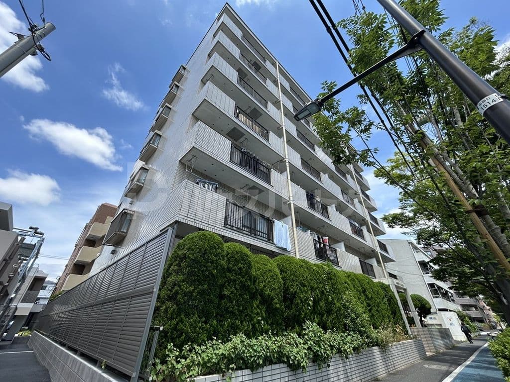 Main Image