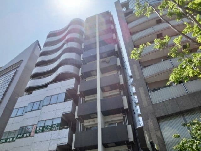 Main Image