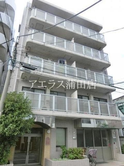 Main Image