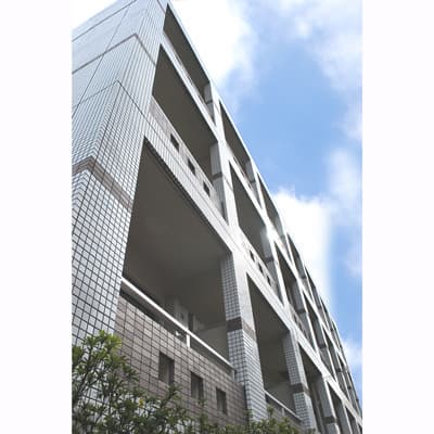 Main Image