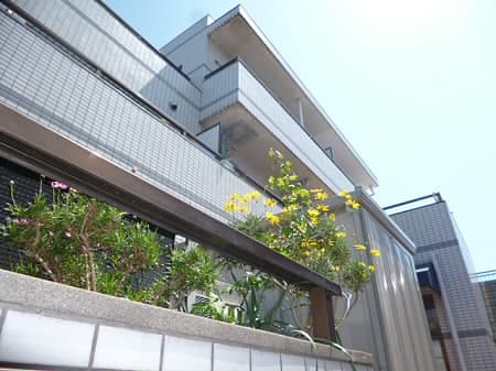 Main Image