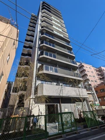 Main Image