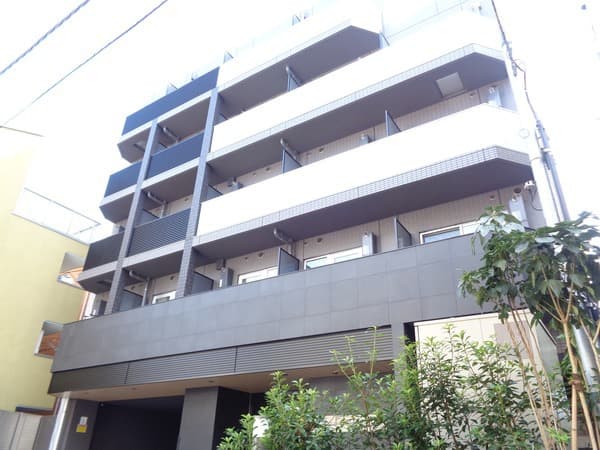 Main Image
