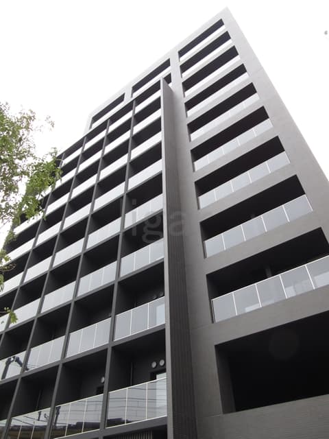 Main Image